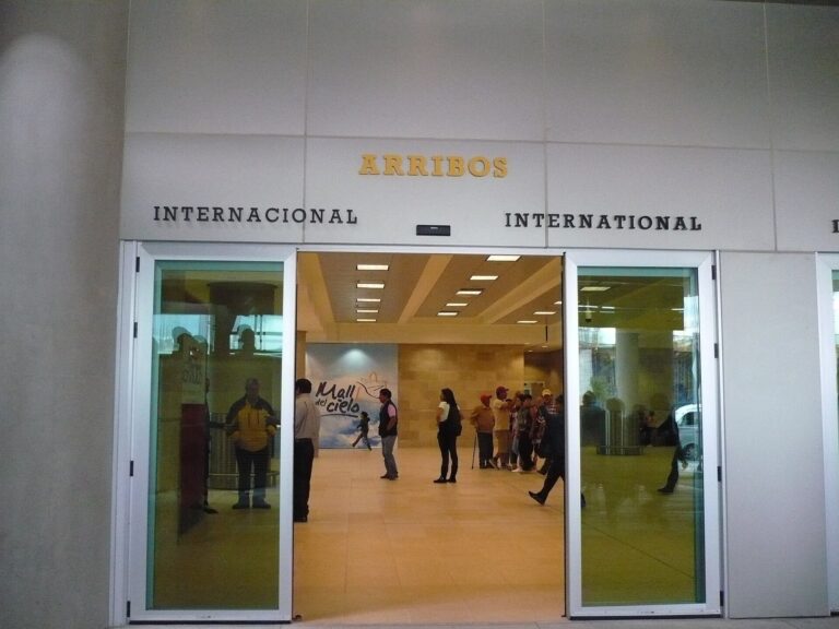 Llegadas internacionales